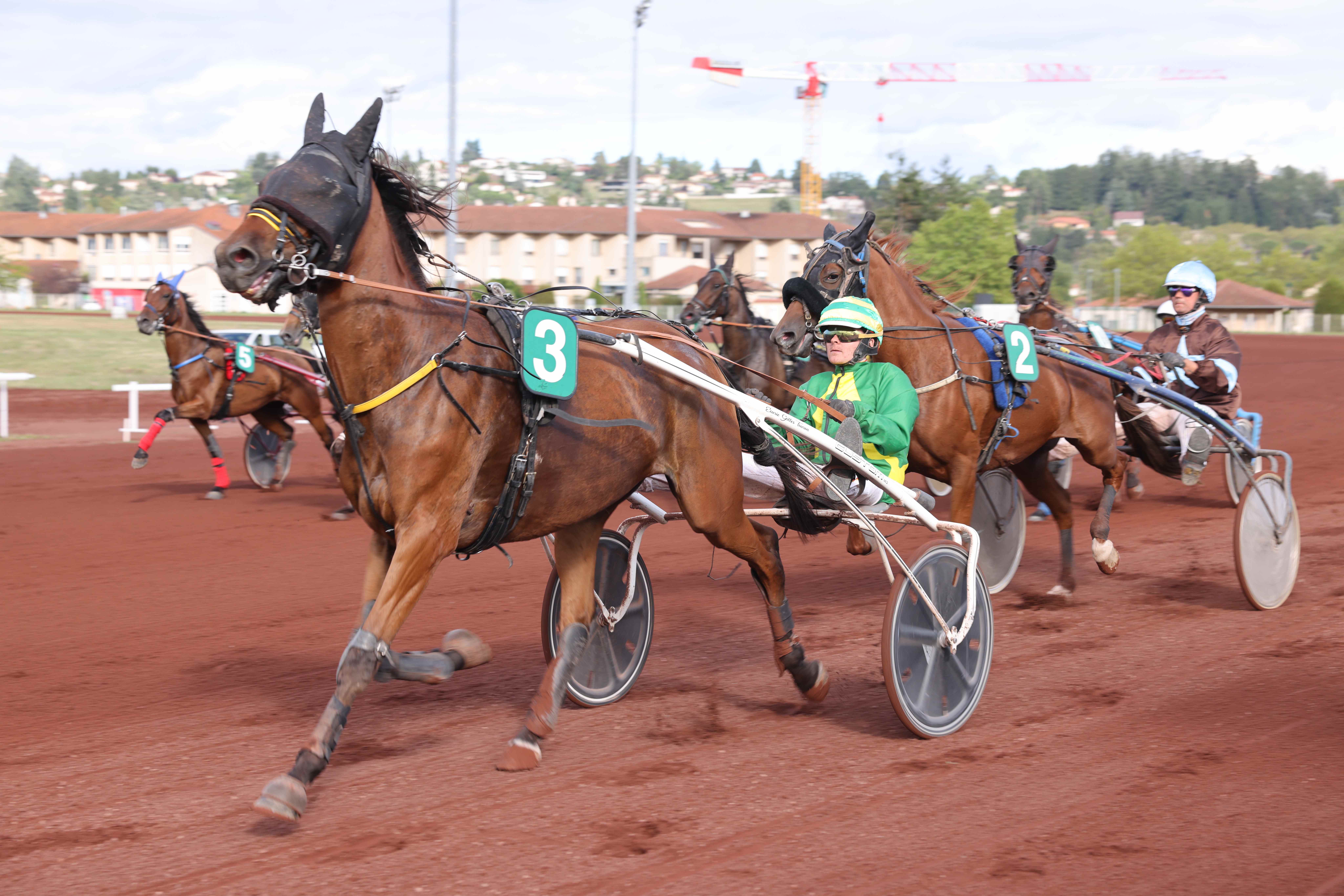 DIMANCHE COURSES À L’HIPPODROME DE SAINT GALMIER